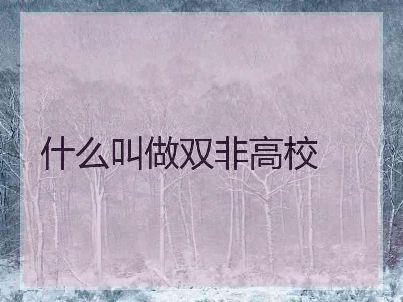 什么叫做双非高校