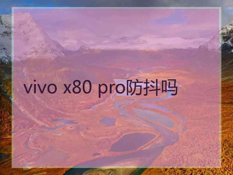 vivo x80 pro防抖吗