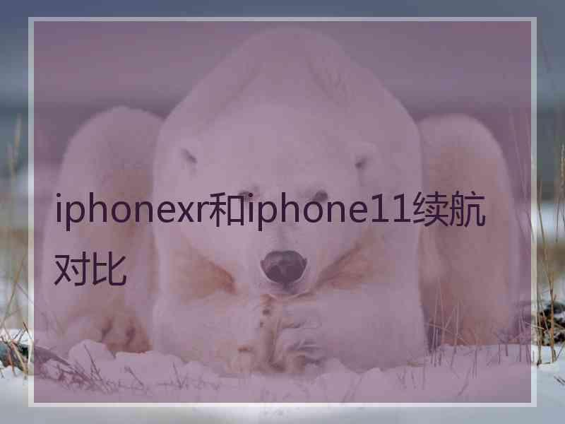 iphonexr和iphone11续航对比