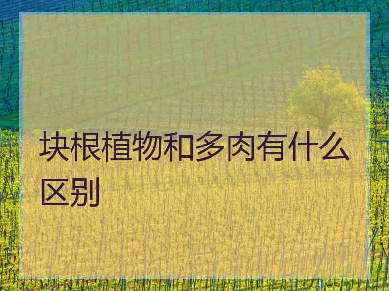 块根植物和多肉有什么区别