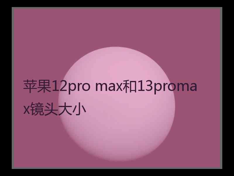 苹果12pro max和13promax镜头大小