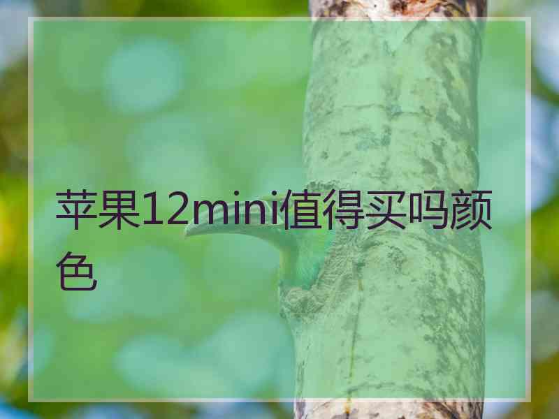 苹果12mini值得买吗颜色