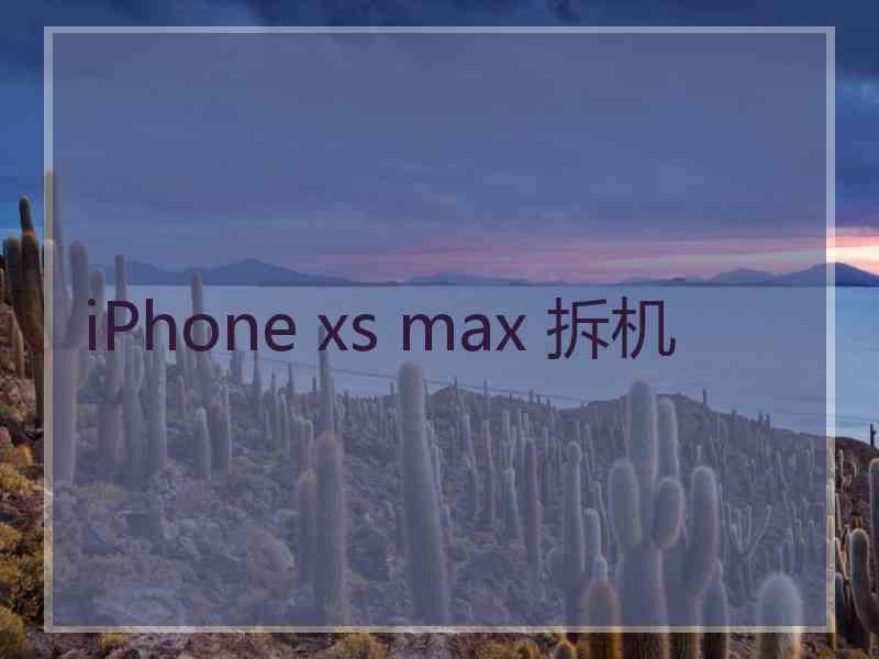 iPhone xs max 拆机