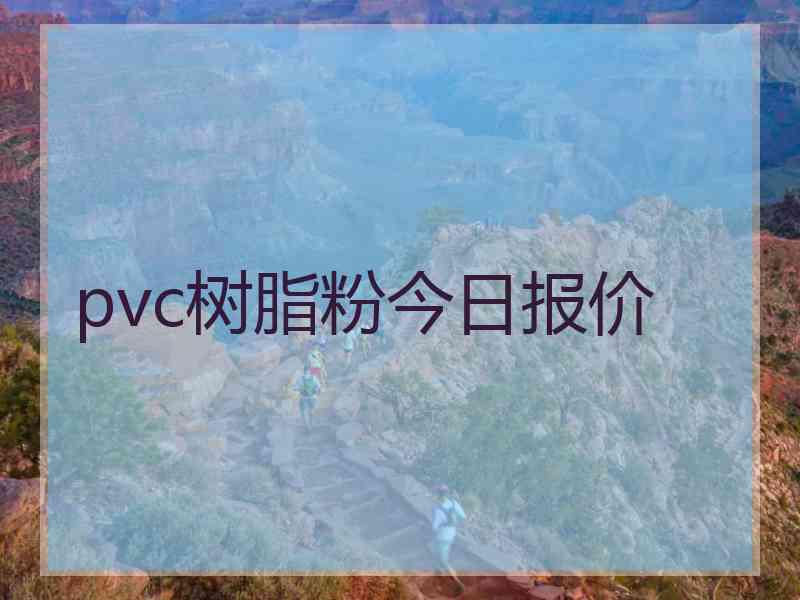 pvc树脂粉今日报价