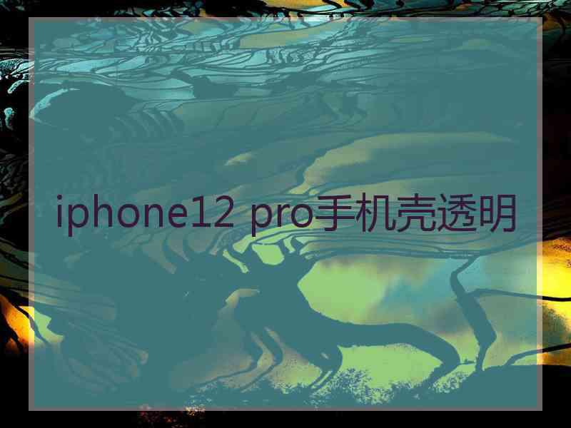 iphone12 pro手机壳透明