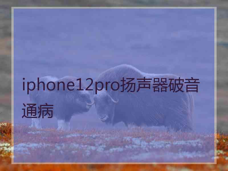 iphone12pro扬声器破音通病