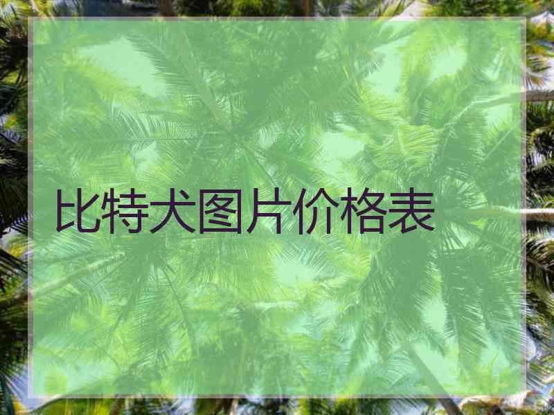 比特犬图片价格表