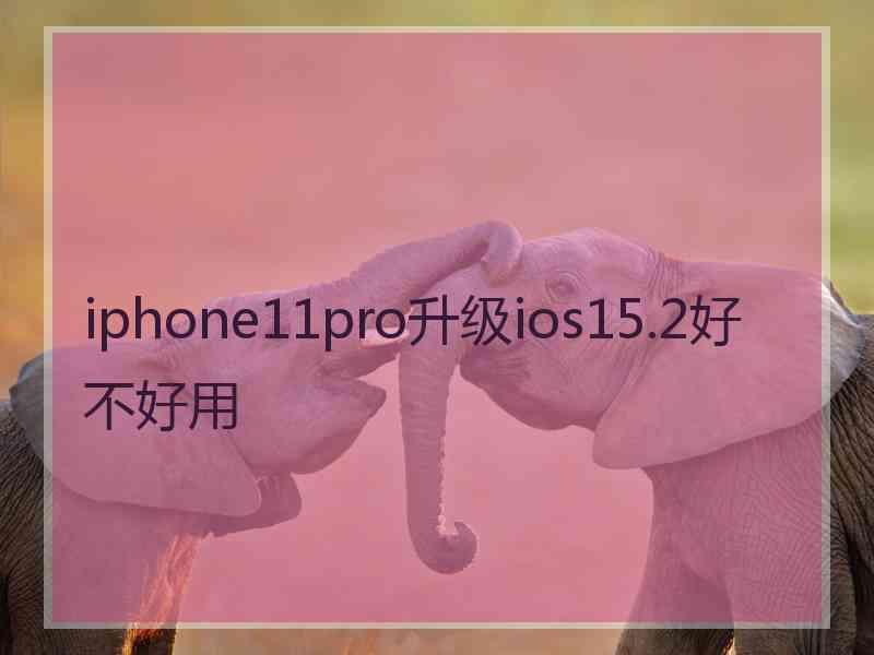 iphone11pro升级ios15.2好不好用