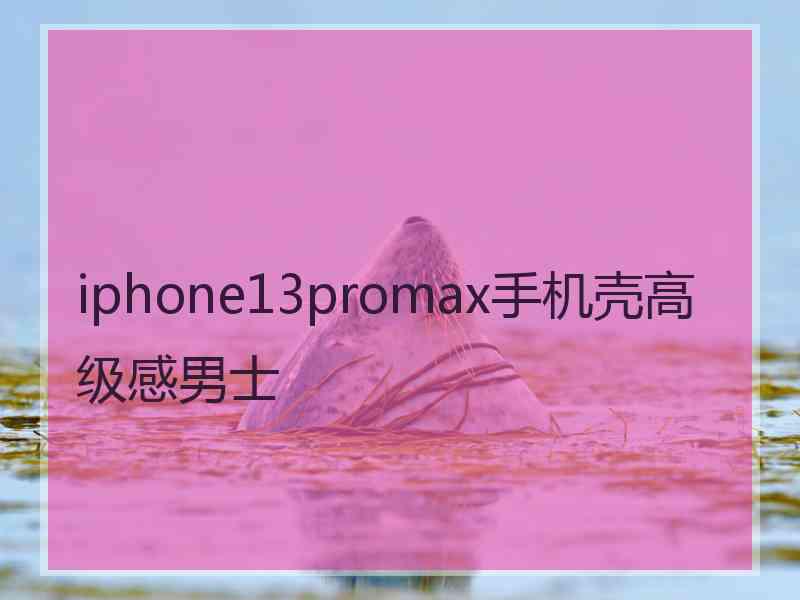 iphone13promax手机壳高级感男士