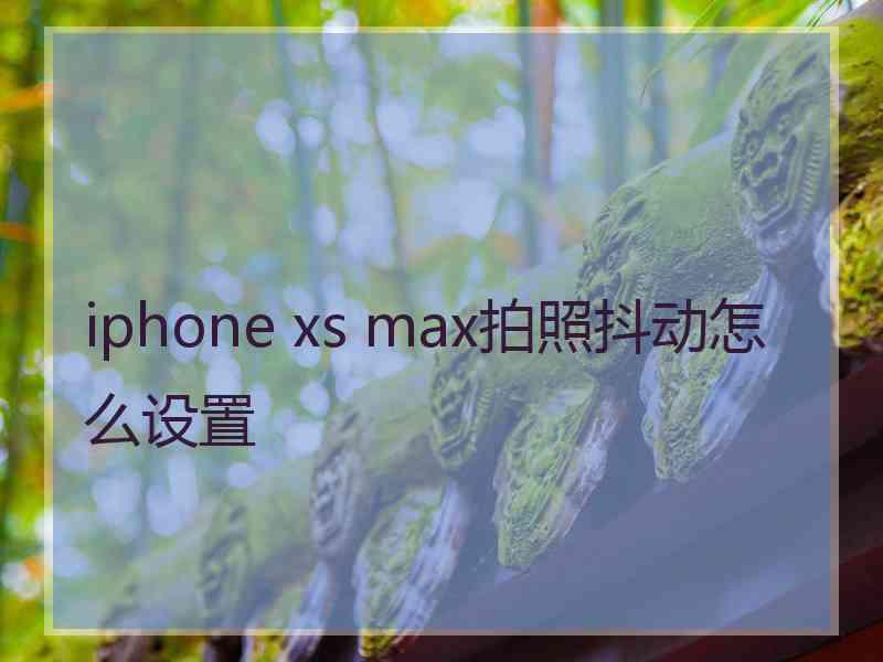 iphone xs max拍照抖动怎么设置