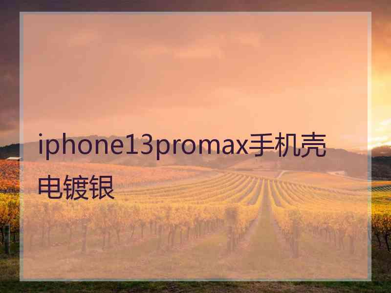 iphone13promax手机壳电镀银