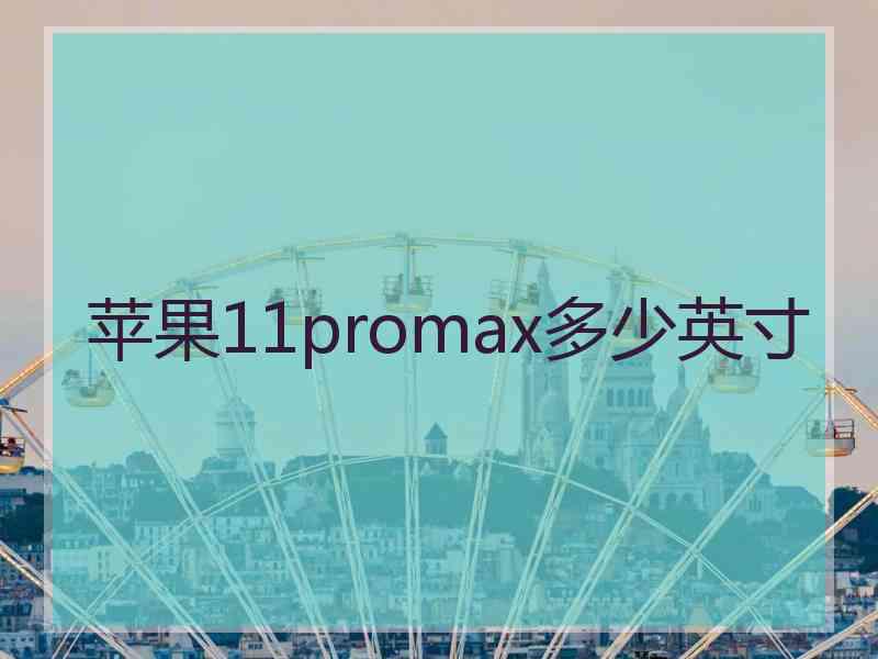 苹果11promax多少英寸