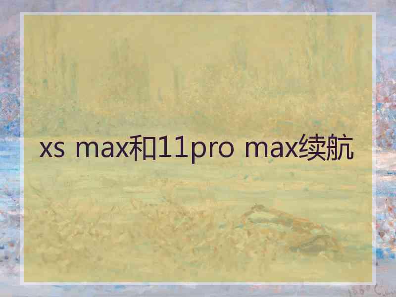 xs max和11pro max续航