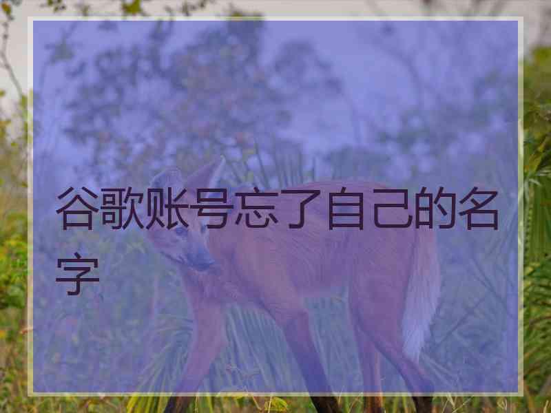 谷歌账号忘了自己的名字