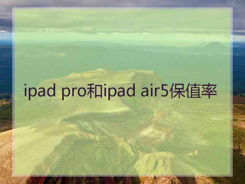 ipad pro和ipad air5保值率