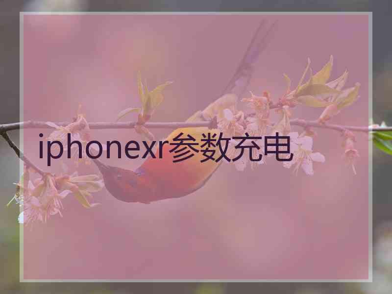 iphonexr参数充电