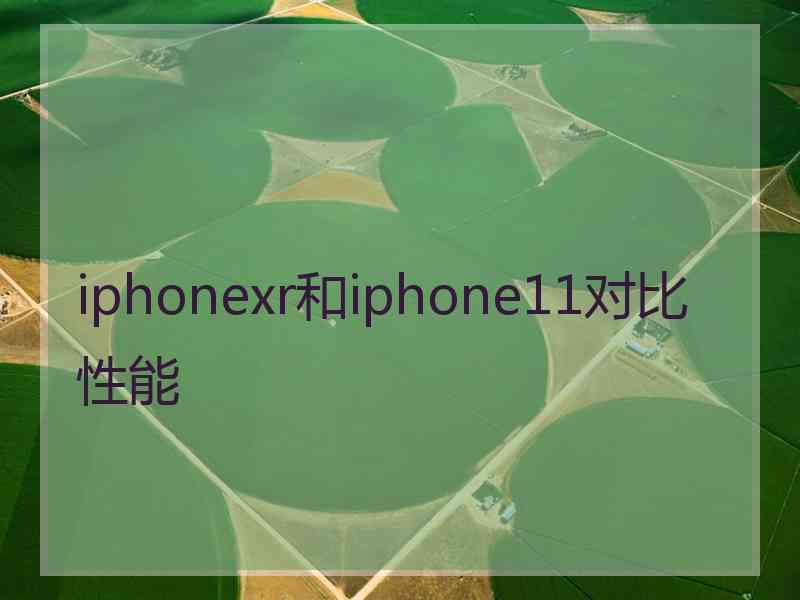 iphonexr和iphone11对比性能