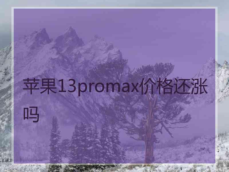 苹果13promax价格还涨吗