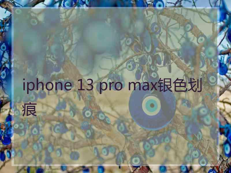 iphone 13 pro max银色划痕