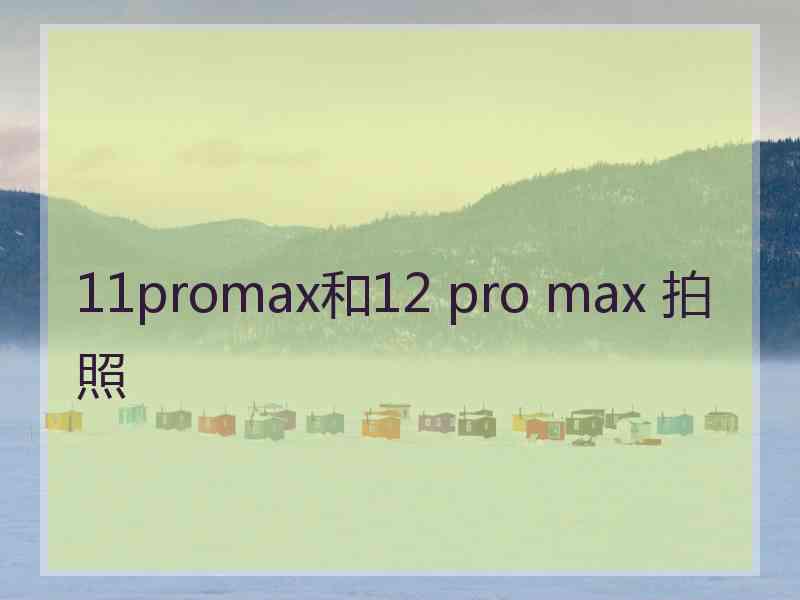 11promax和12 pro max 拍照