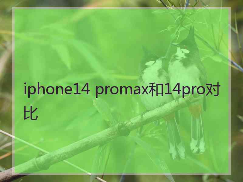 iphone14 promax和14pro对比