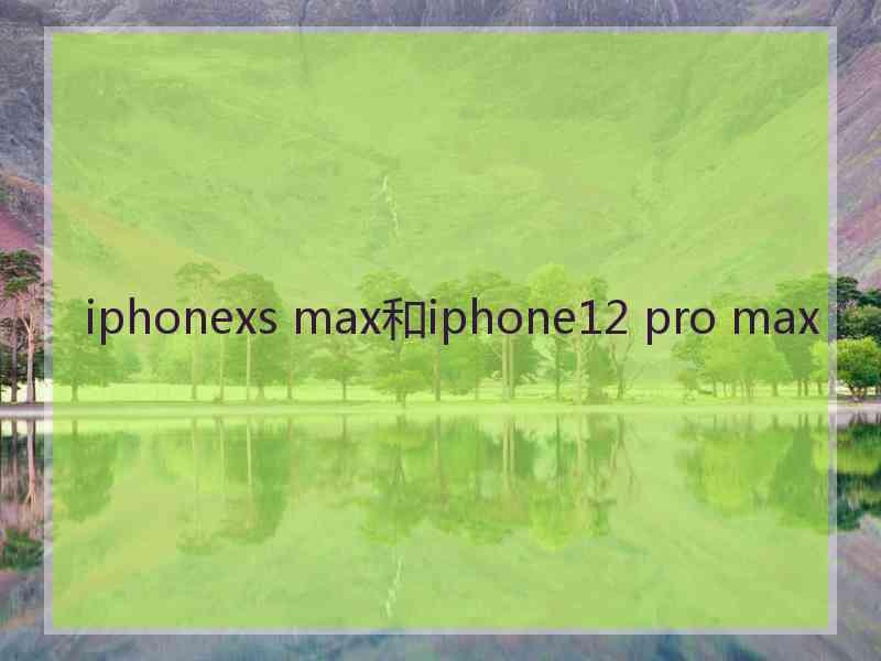 iphonexs max和iphone12 pro max