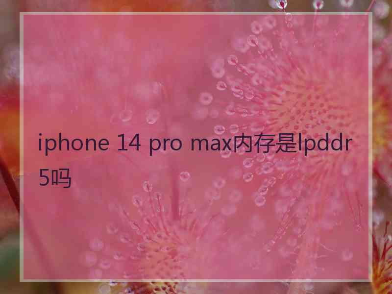 iphone 14 pro max内存是lpddr5吗