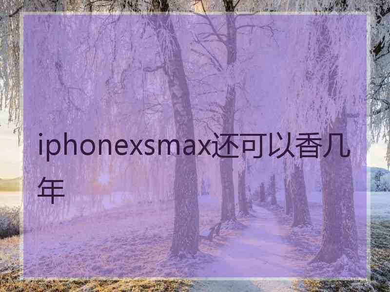 iphonexsmax还可以香几年