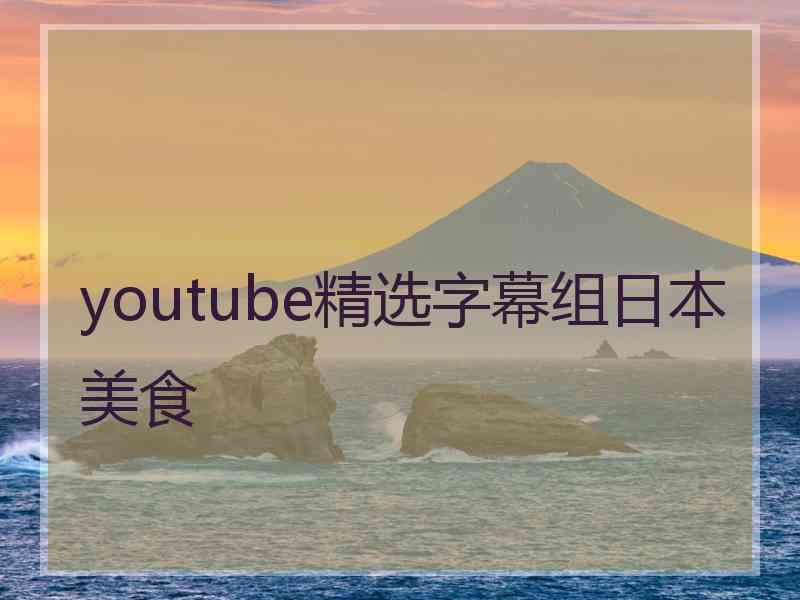 youtube精选字幕组日本美食