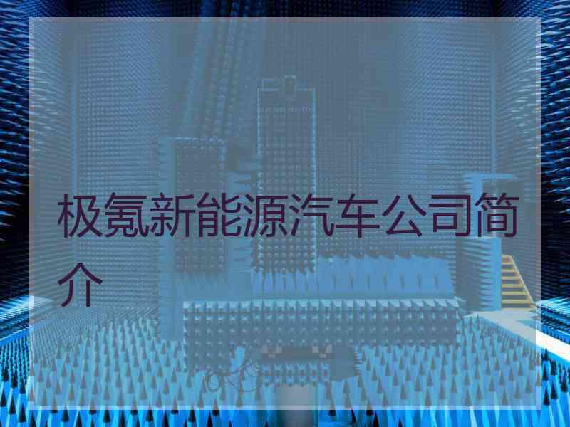 极氪新能源汽车公司简介