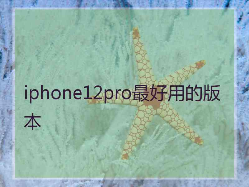 iphone12pro最好用的版本