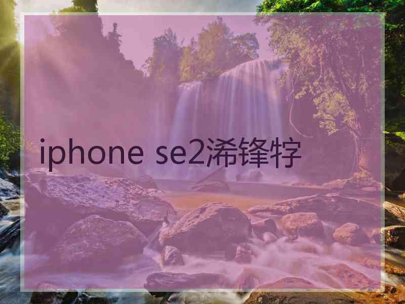 iphone se2浠锋牸