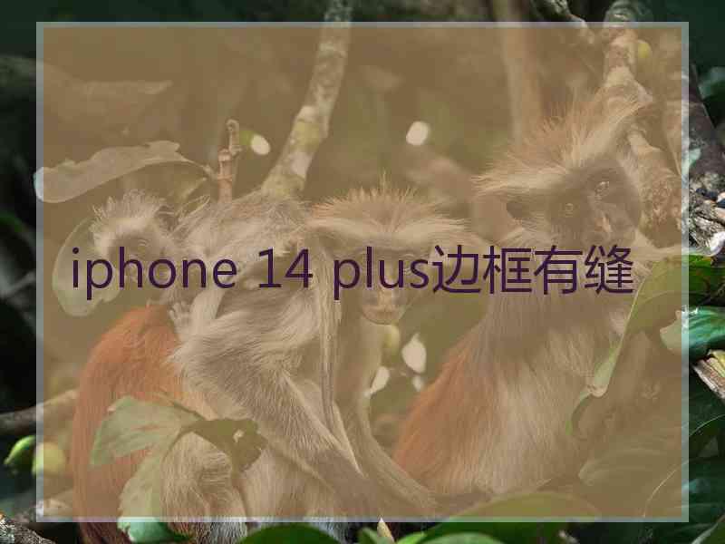 iphone 14 plus边框有缝