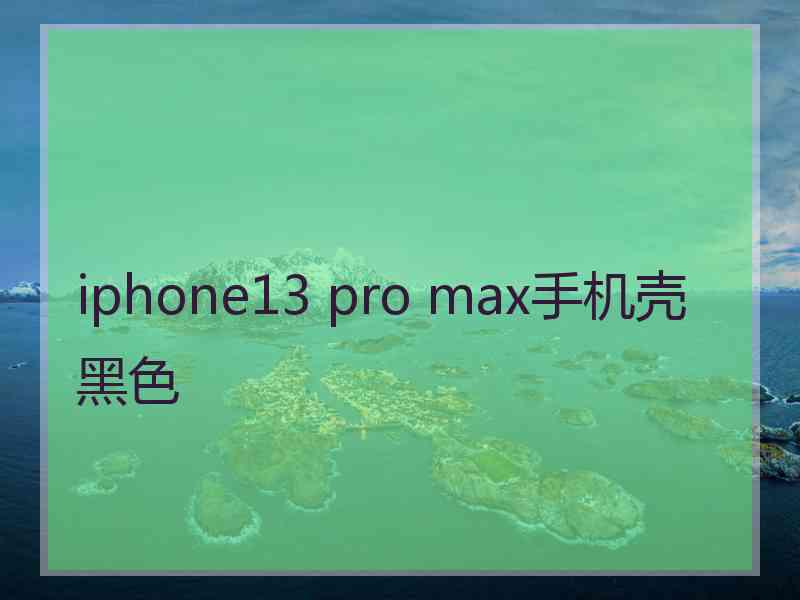 iphone13 pro max手机壳黑色