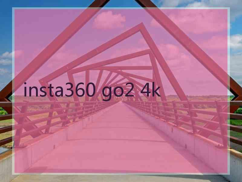 insta360 go2 4k