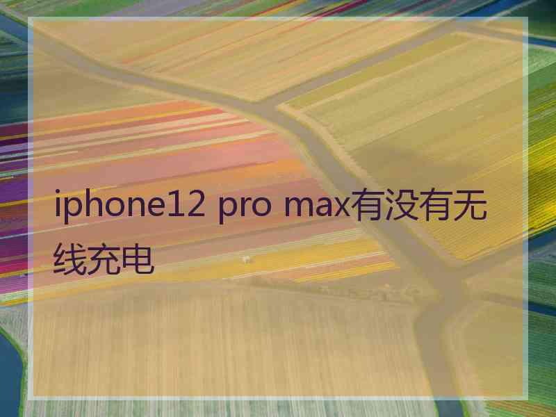 iphone12 pro max有没有无线充电