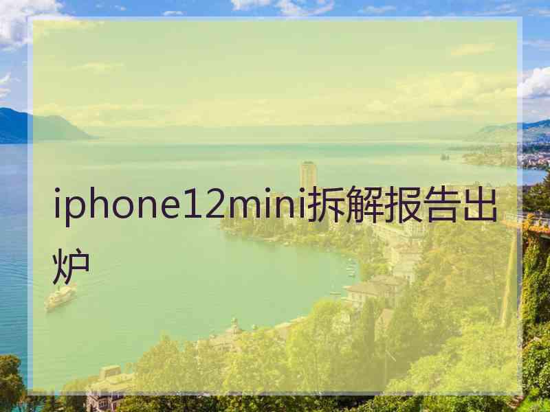 iphone12mini拆解报告出炉