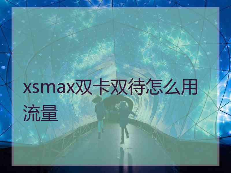 xsmax双卡双待怎么用流量