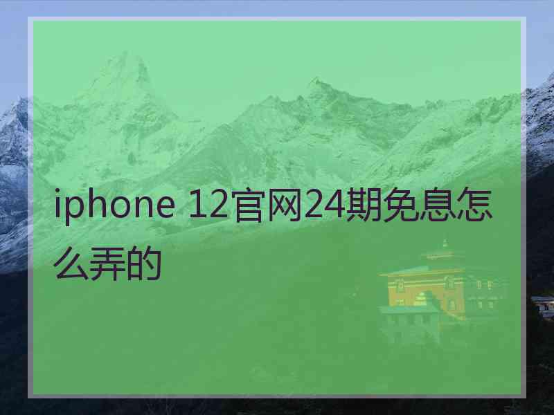 iphone 12官网24期免息怎么弄的