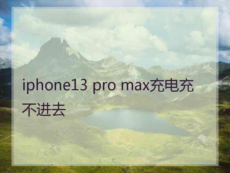 iphone13 pro max充电充不进去