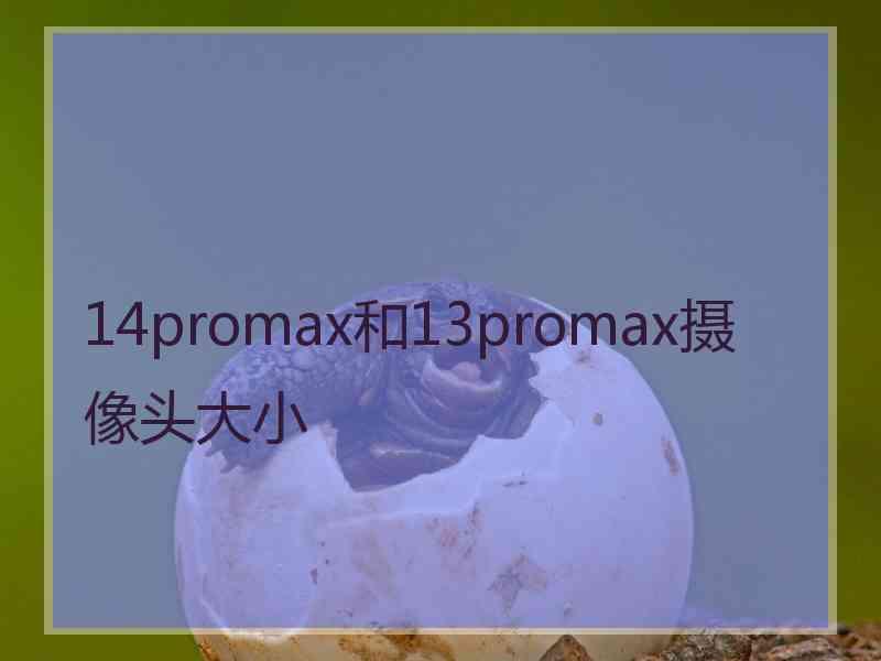 14promax和13promax摄像头大小