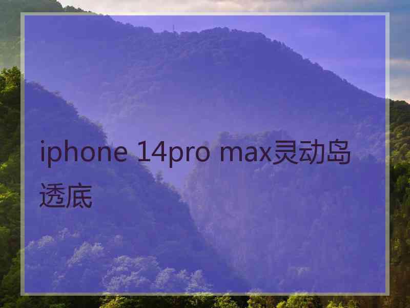 iphone 14pro max灵动岛透底