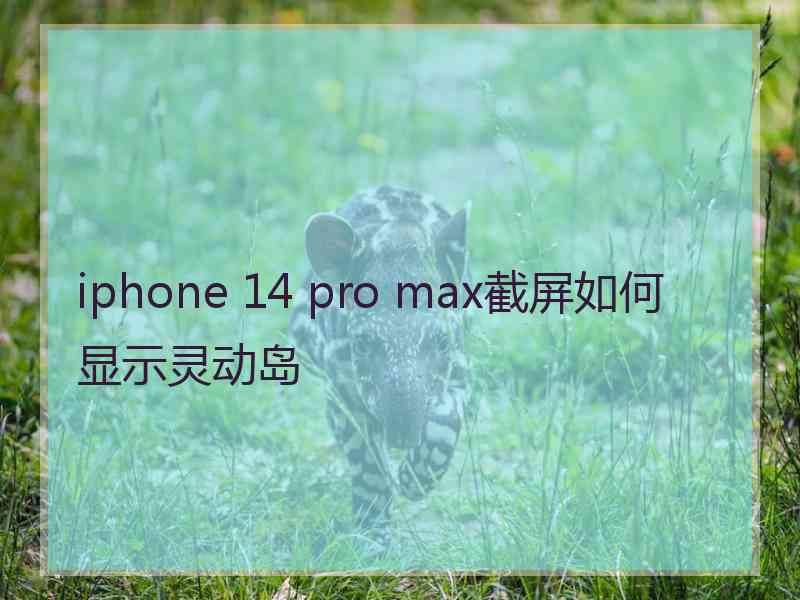 iphone 14 pro max截屏如何显示灵动岛