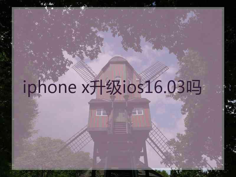 iphone x升级ios16.03吗