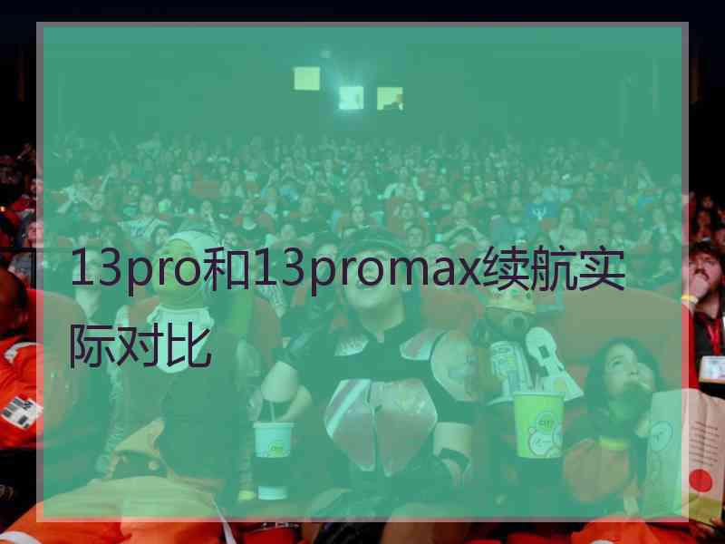 13pro和13promax续航实际对比