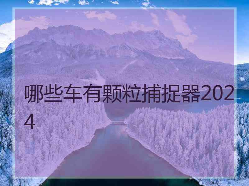 哪些车有颗粒捕捉器2024