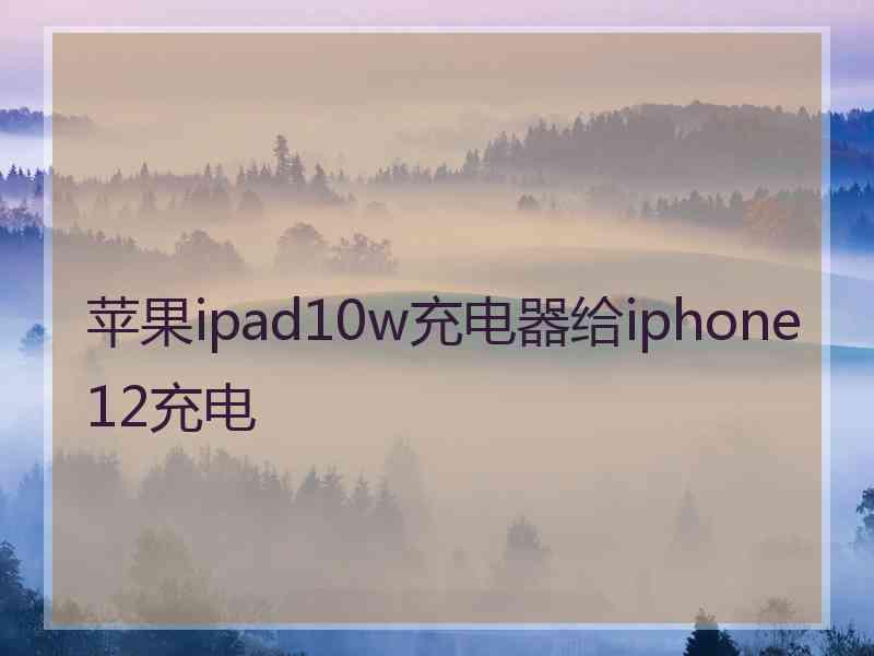 苹果ipad10w充电器给iphone12充电