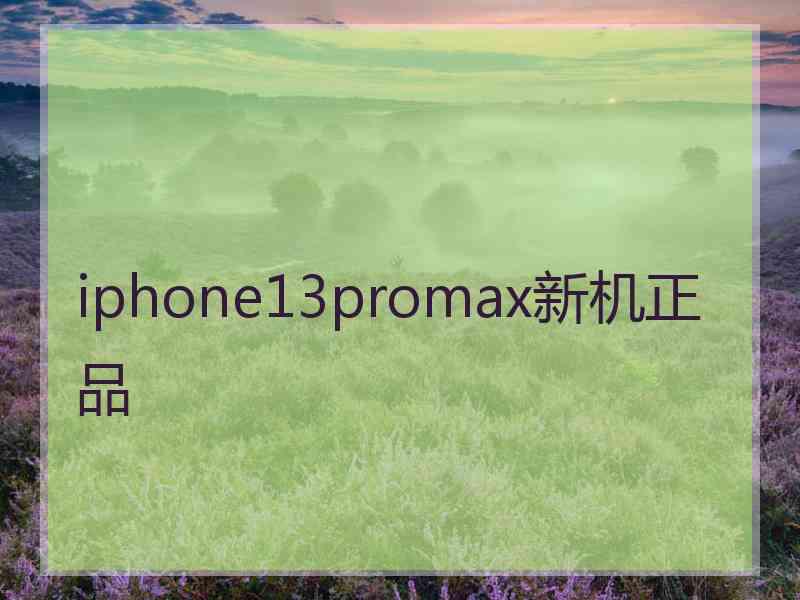 iphone13promax新机正品