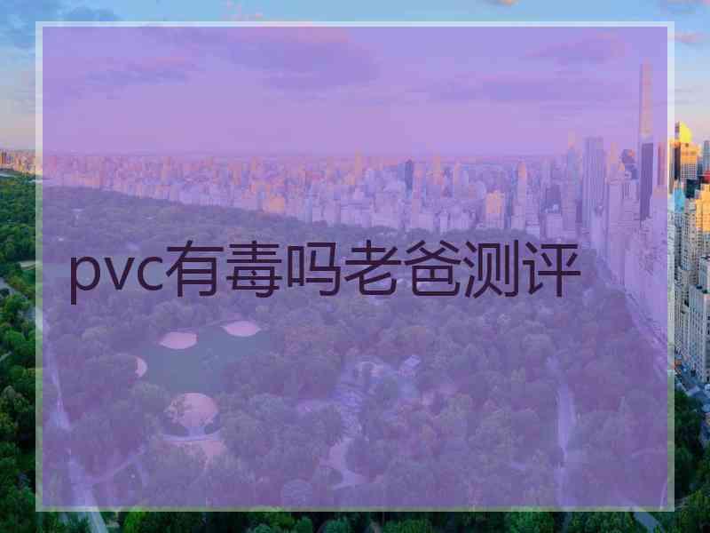 pvc有毒吗老爸测评