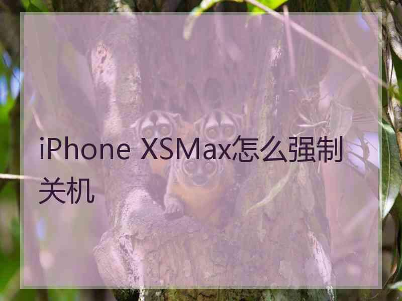 iPhone XSMax怎么强制关机